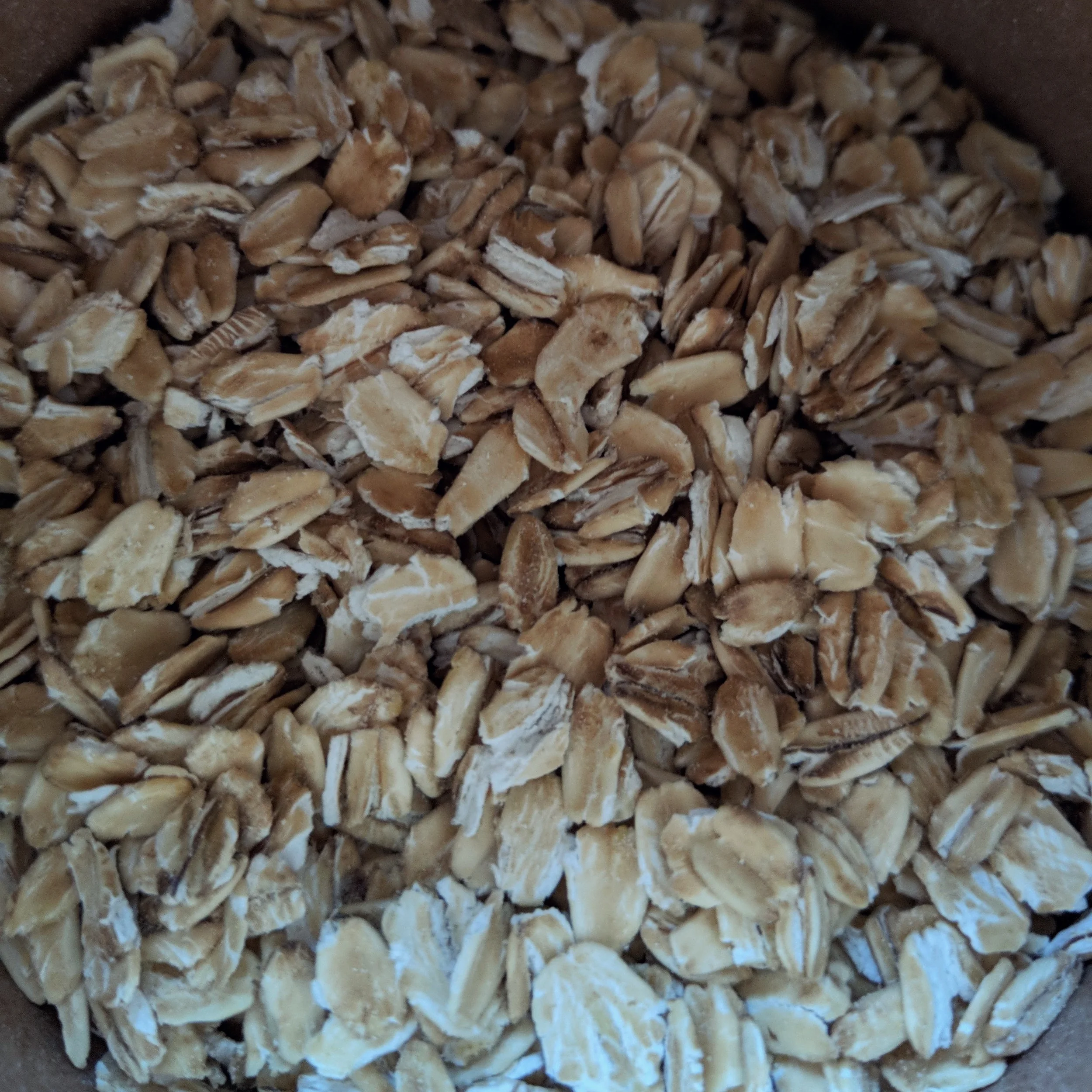 Oat Milk