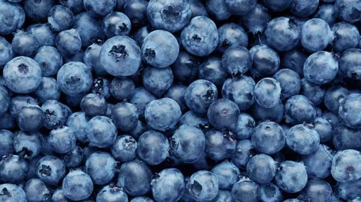 Coconut Blueberry Muffins