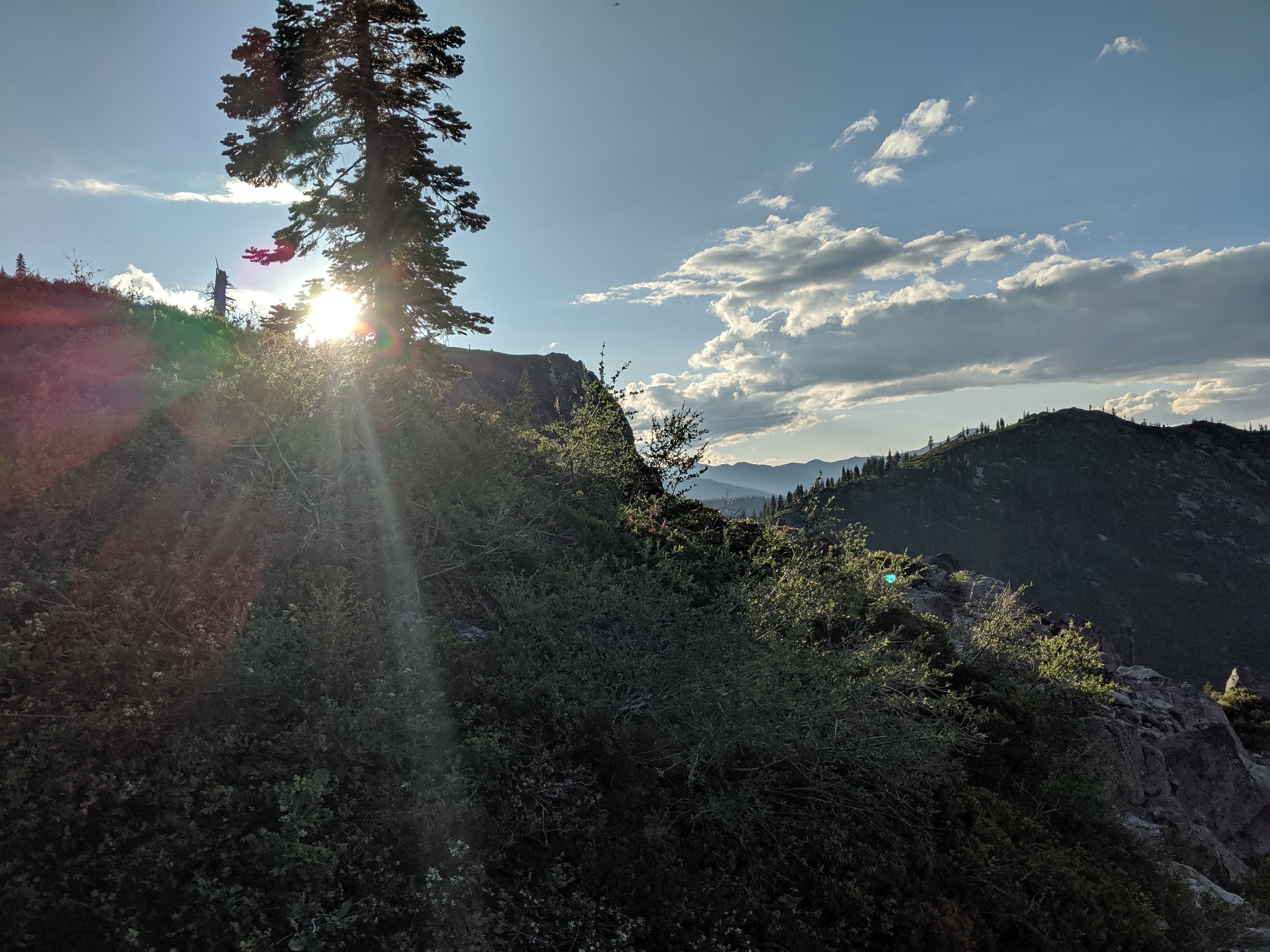 IMG_20190714_193104.jpg