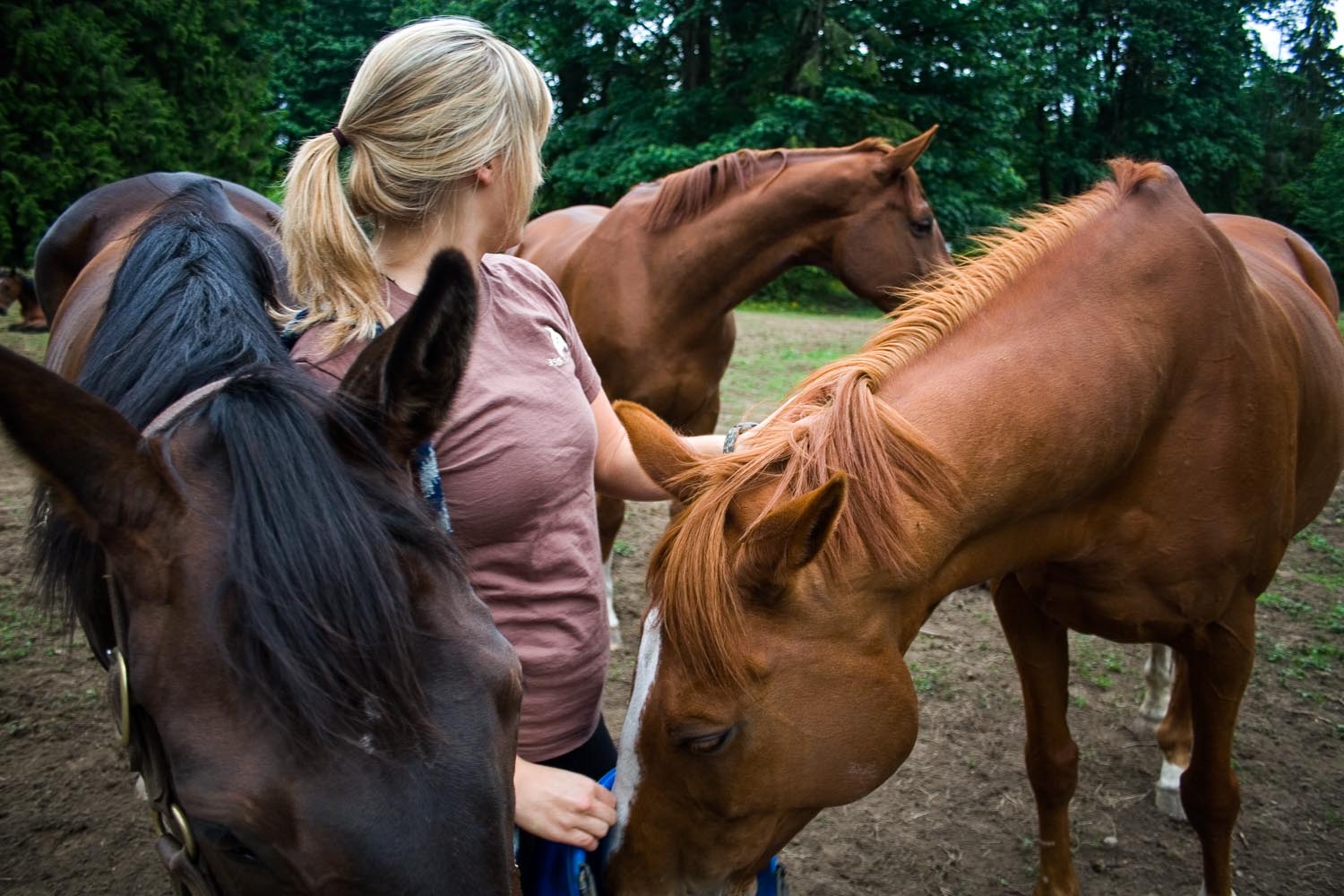  Tess and Holly on the Ranch:&nbsp;Kamloops, BC 