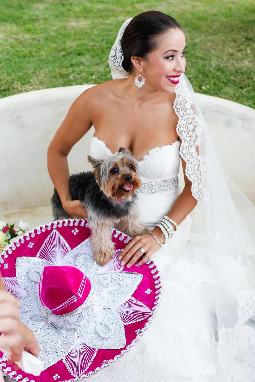  Ella &amp; Toto 