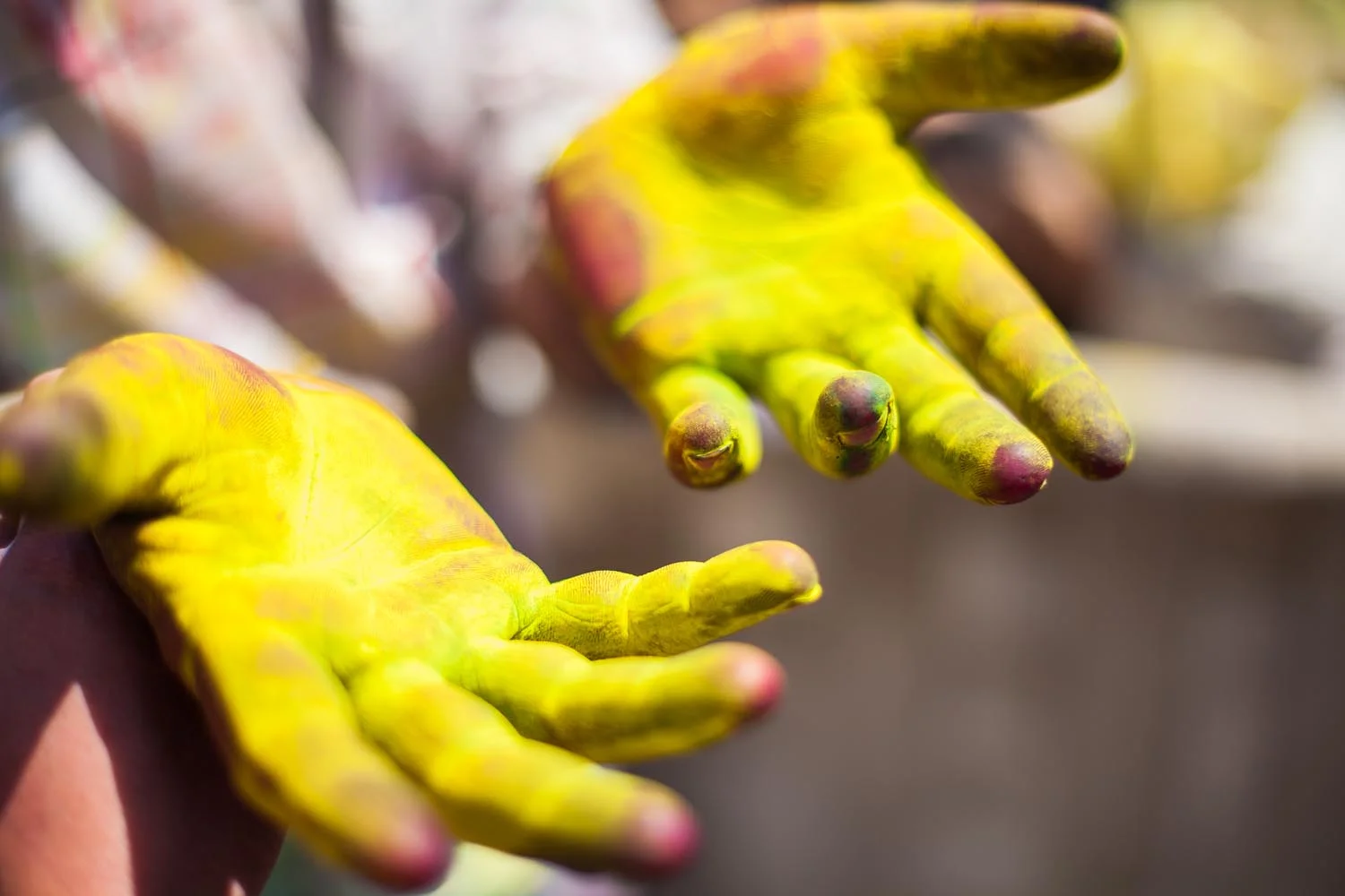  Paint of all different colors are thrown, and everyone is fair game: Jaipur, Rajasthan 