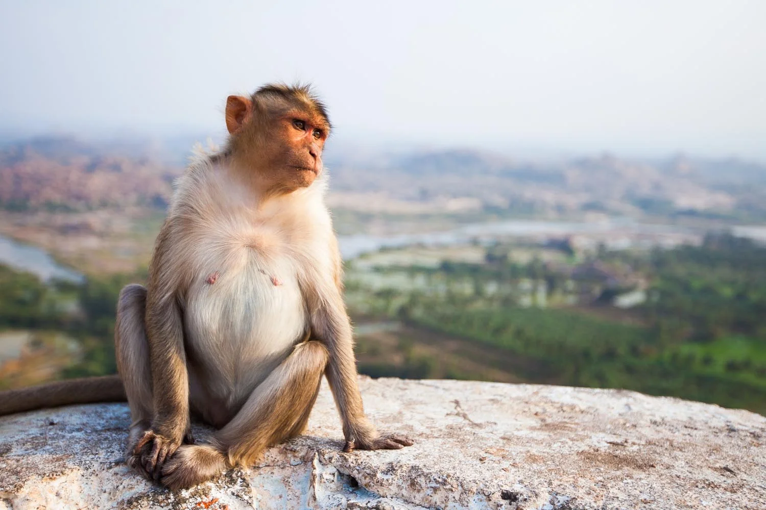  Hanuman Temple: Hampi, Karnataka 