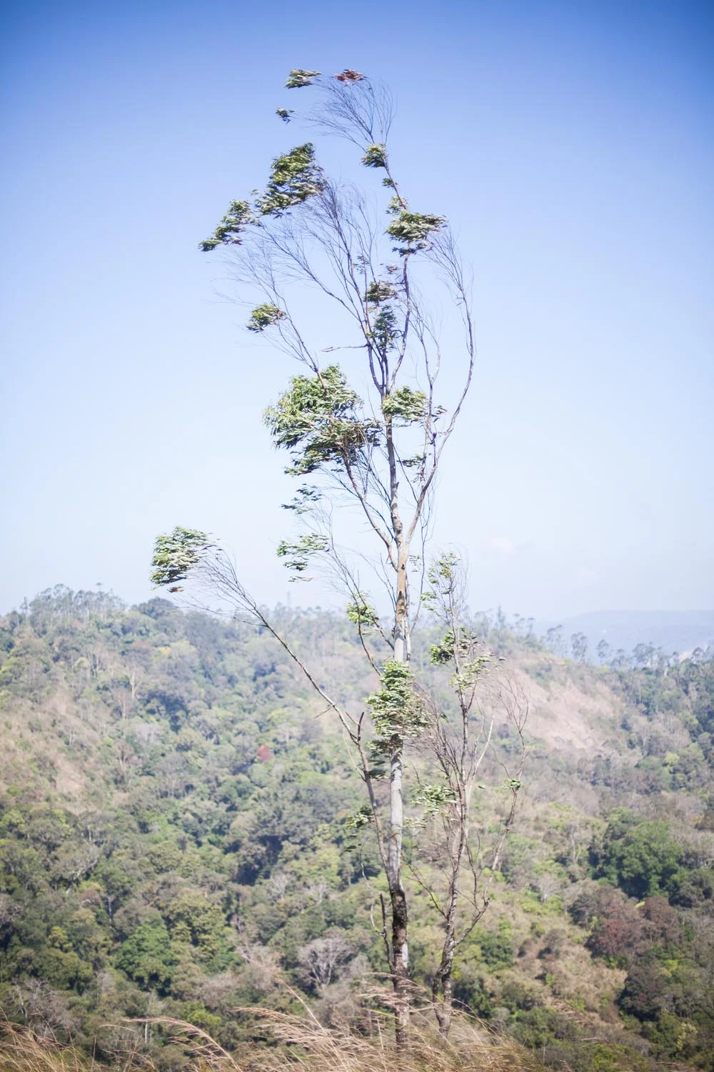  Periyar Wildlife Sanctuary, Kerala 