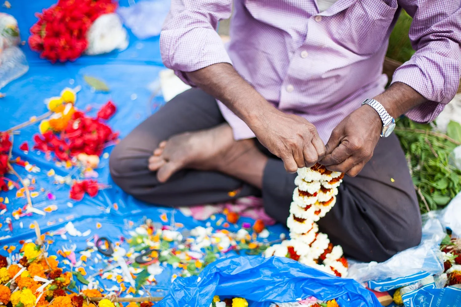  A Gift: Kolkata, West Bengal 