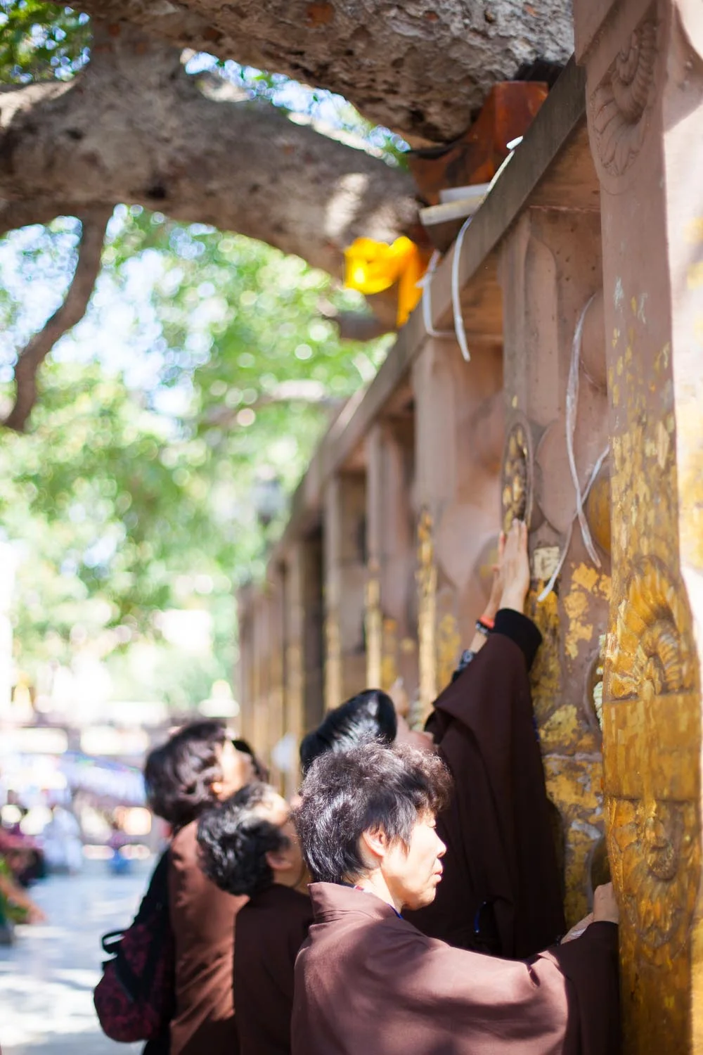  The place of Buddha's Enlightenment, and the end of a pilgrimage: Bodhgaya, Bihar 