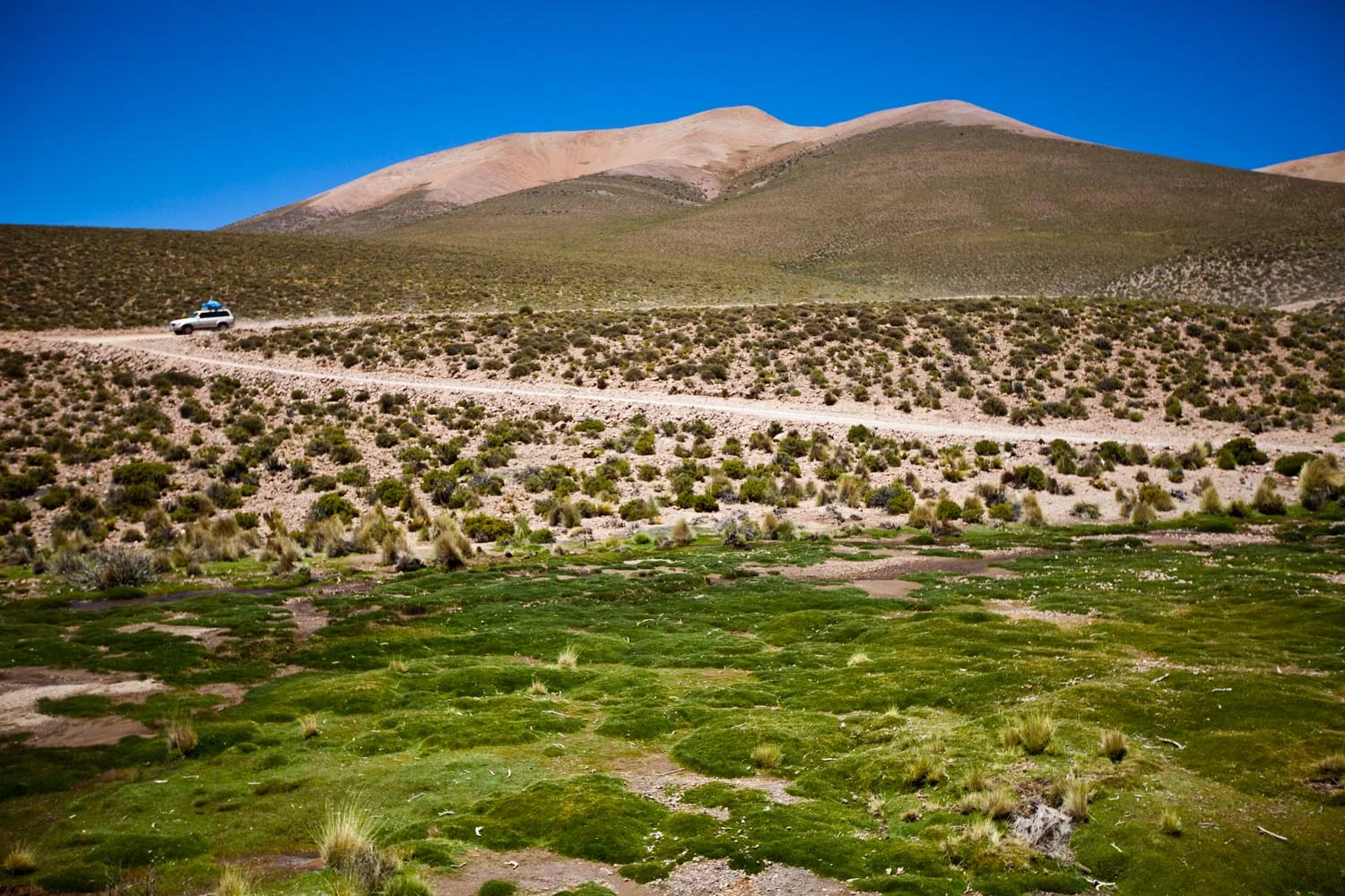  5000 meters above sea level: Altiplano, Bolivia 