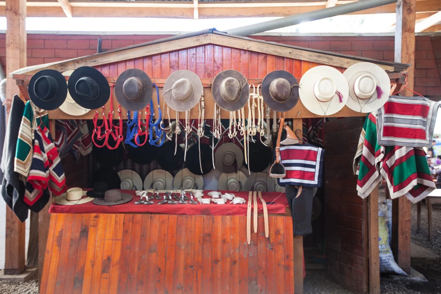  Market in Valdivia, Chile 