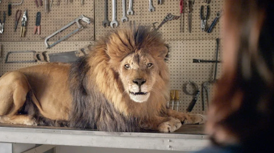 Food Lion - Band Practice