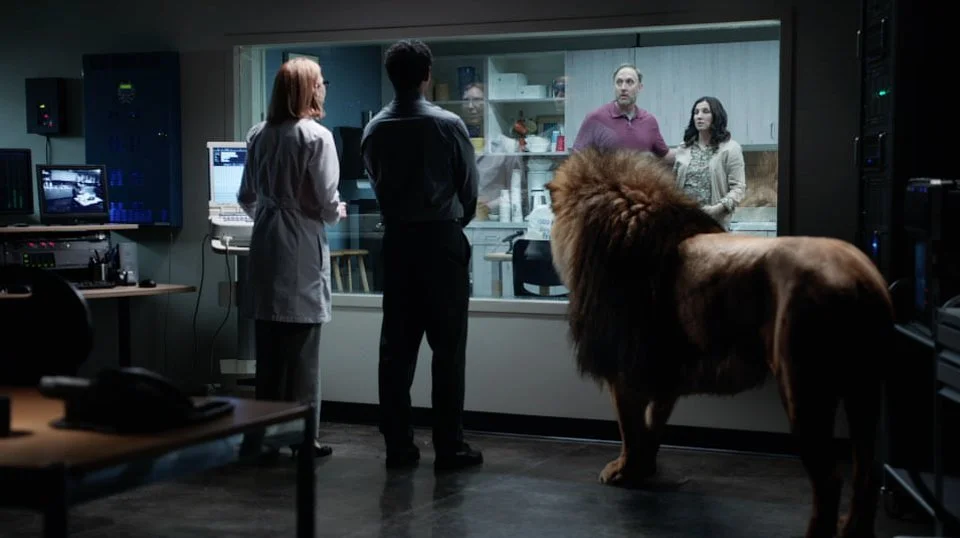 Food Lion - Observation