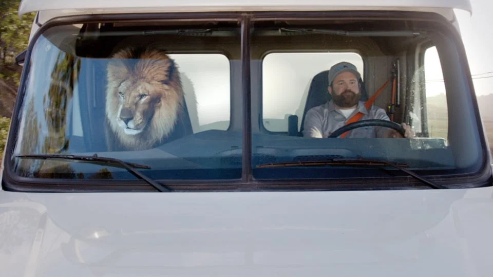 Food Lion - On The Road