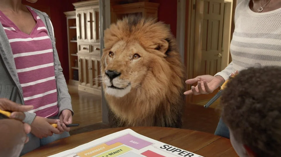 Food Lion - The Plan