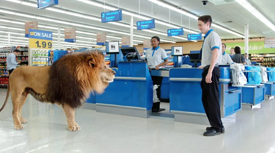 Food Lion - Unexplained