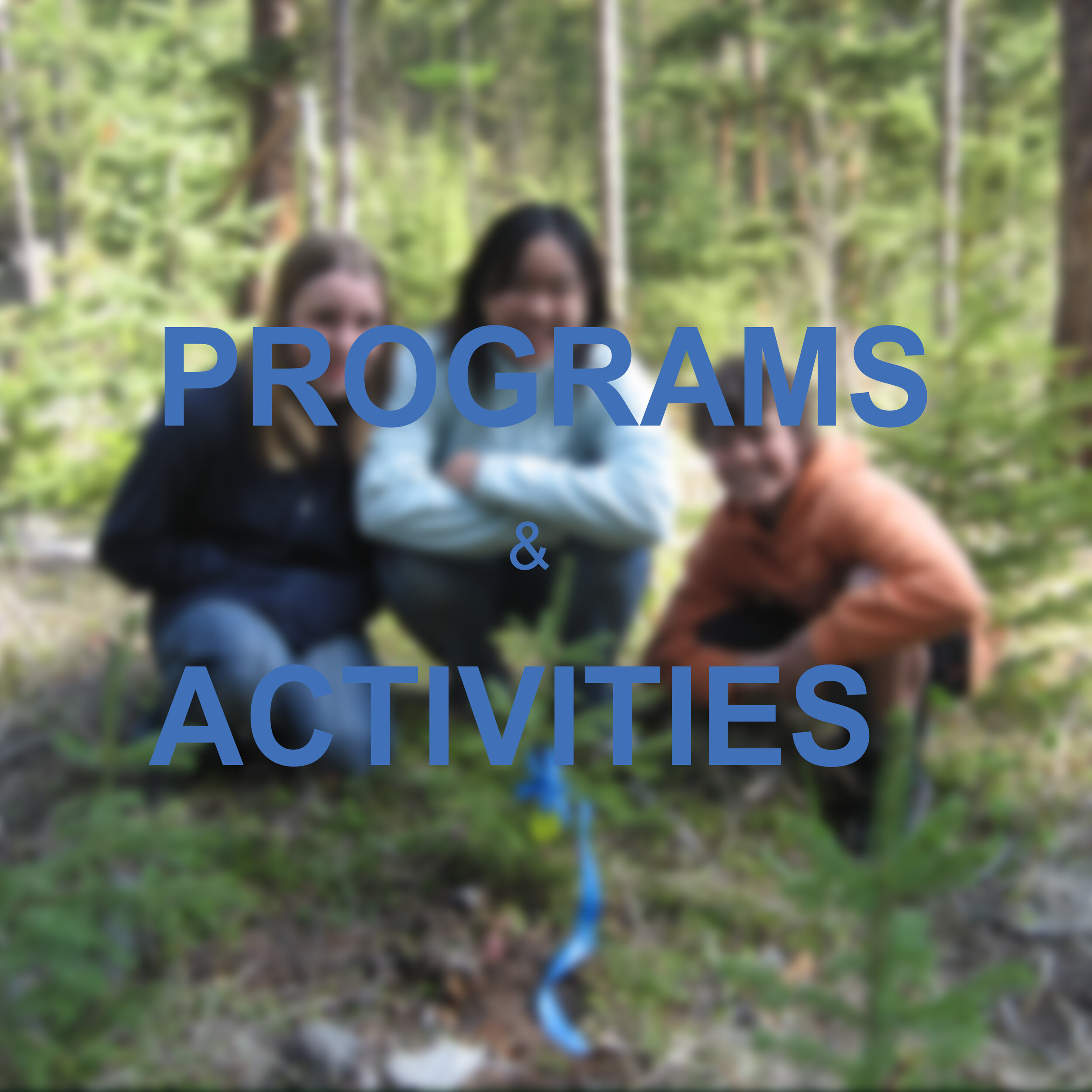 programs&attivities_.jpg