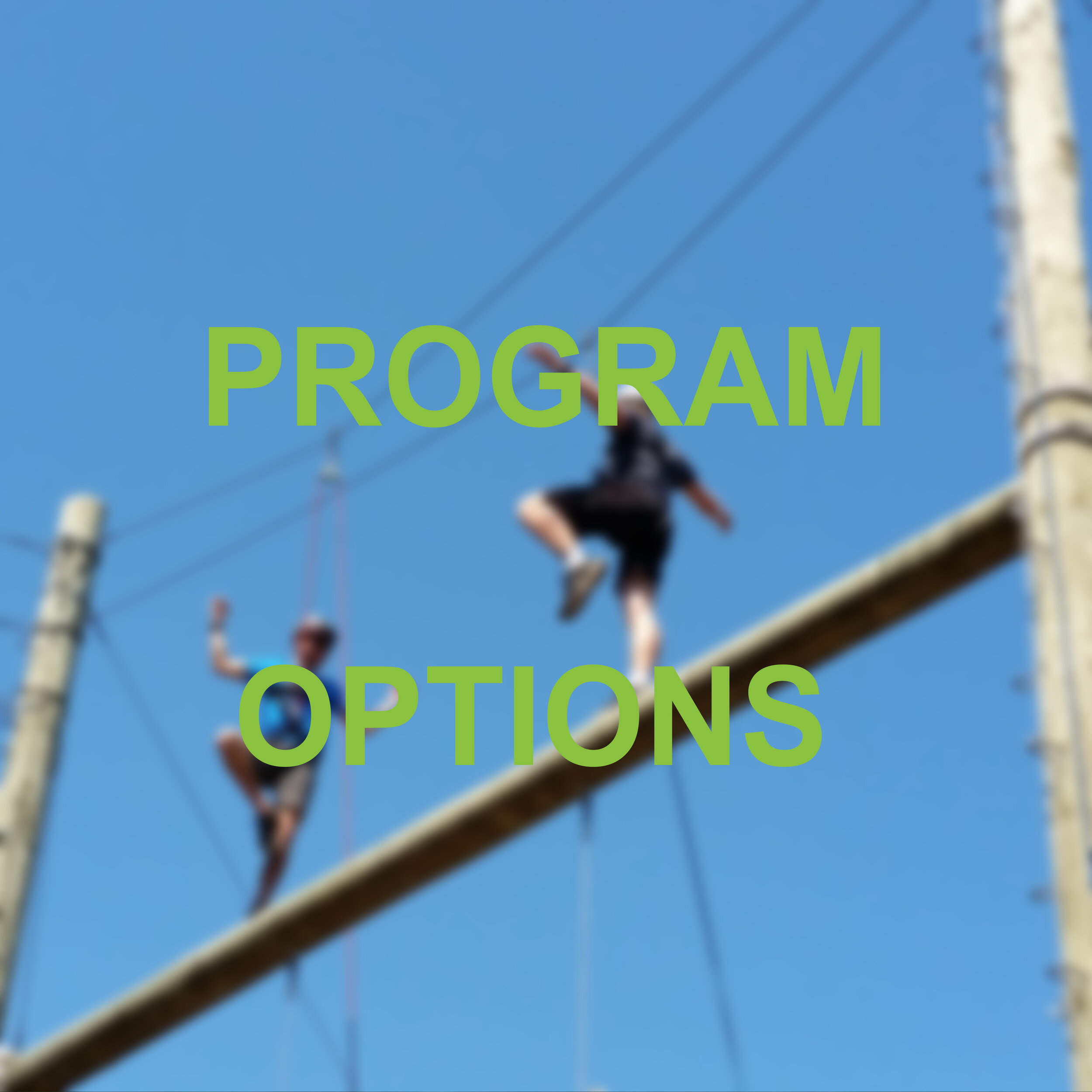 program options.jpg