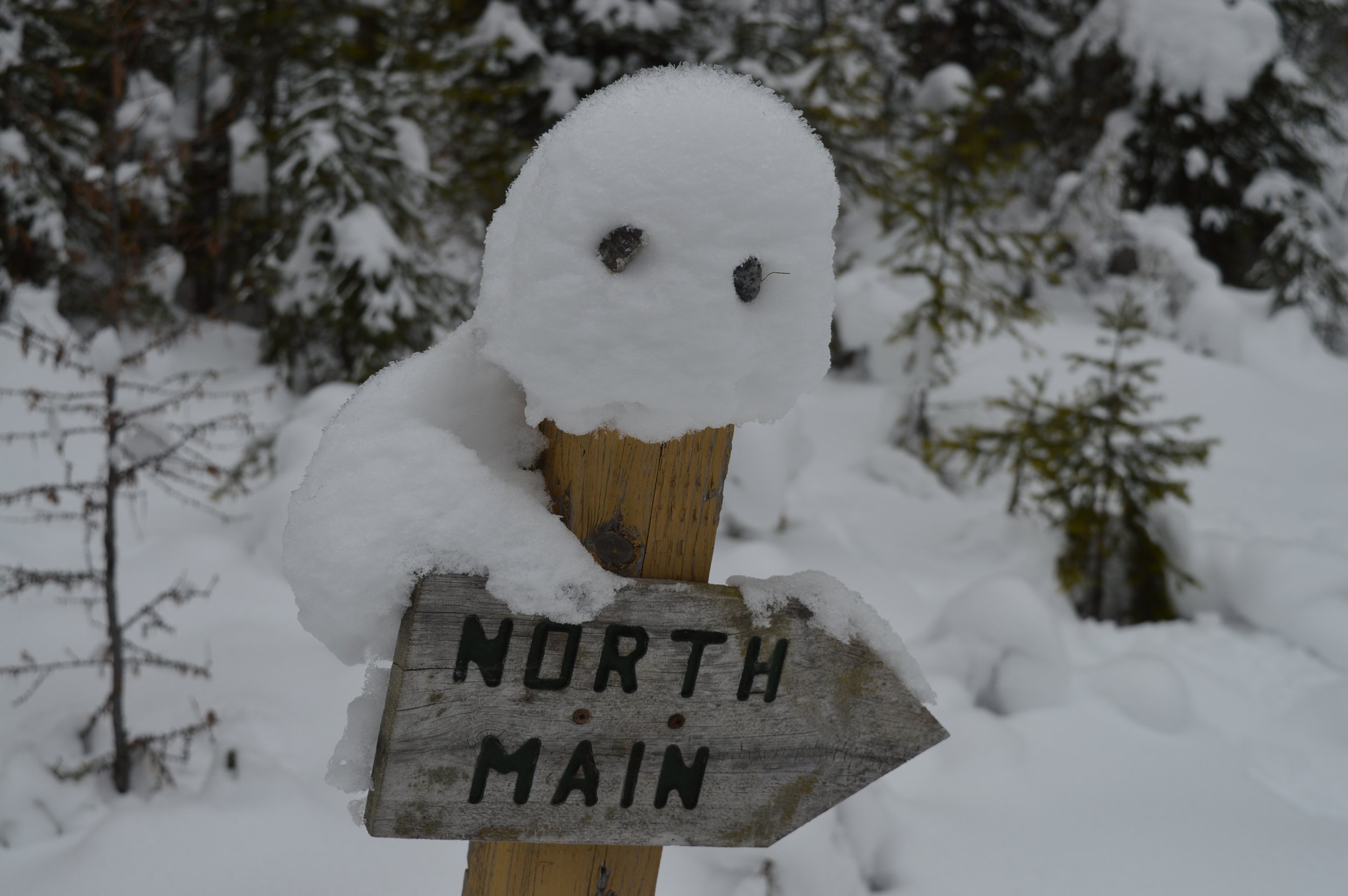 Snowman - North Main.jpg