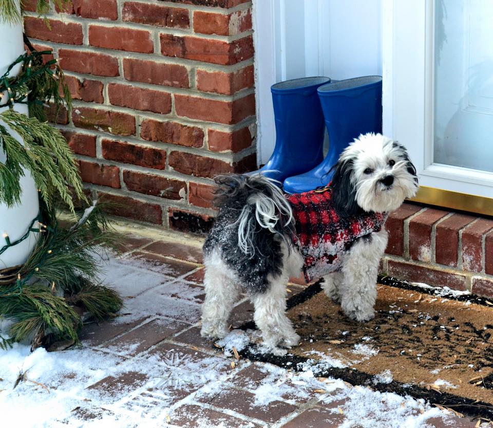 Cornell is anxious to get inside our home.