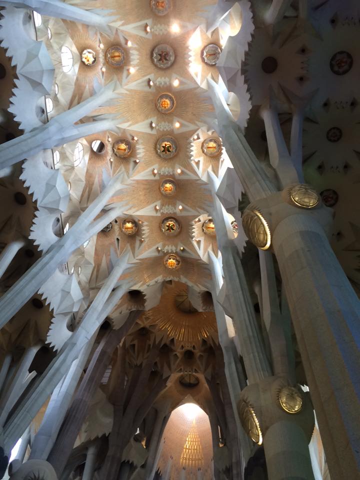 Just a small portion of the La Sagrada Familia Ceiling.