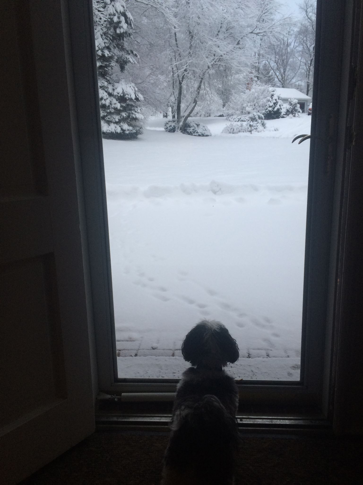 "Where are my brother and sister? "
