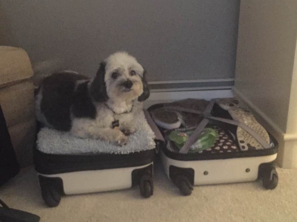 Cornell misunderstood the concept of packing.