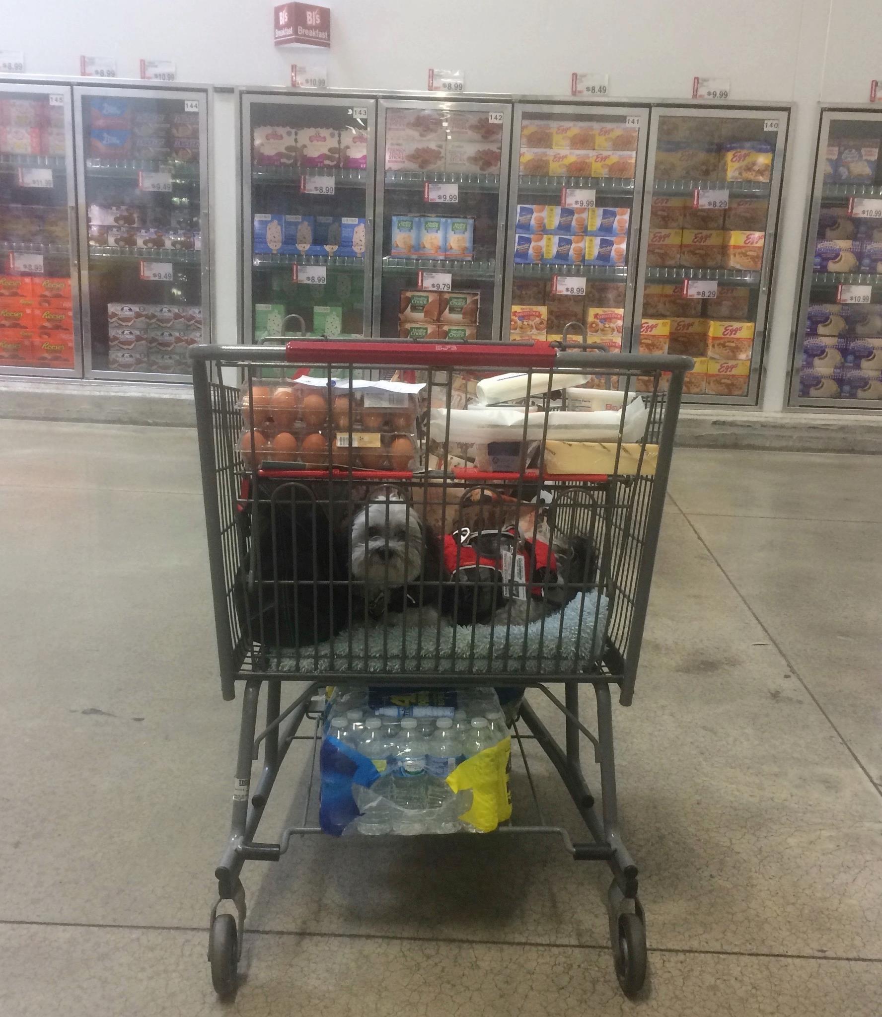 Our last trip to BJ's together!