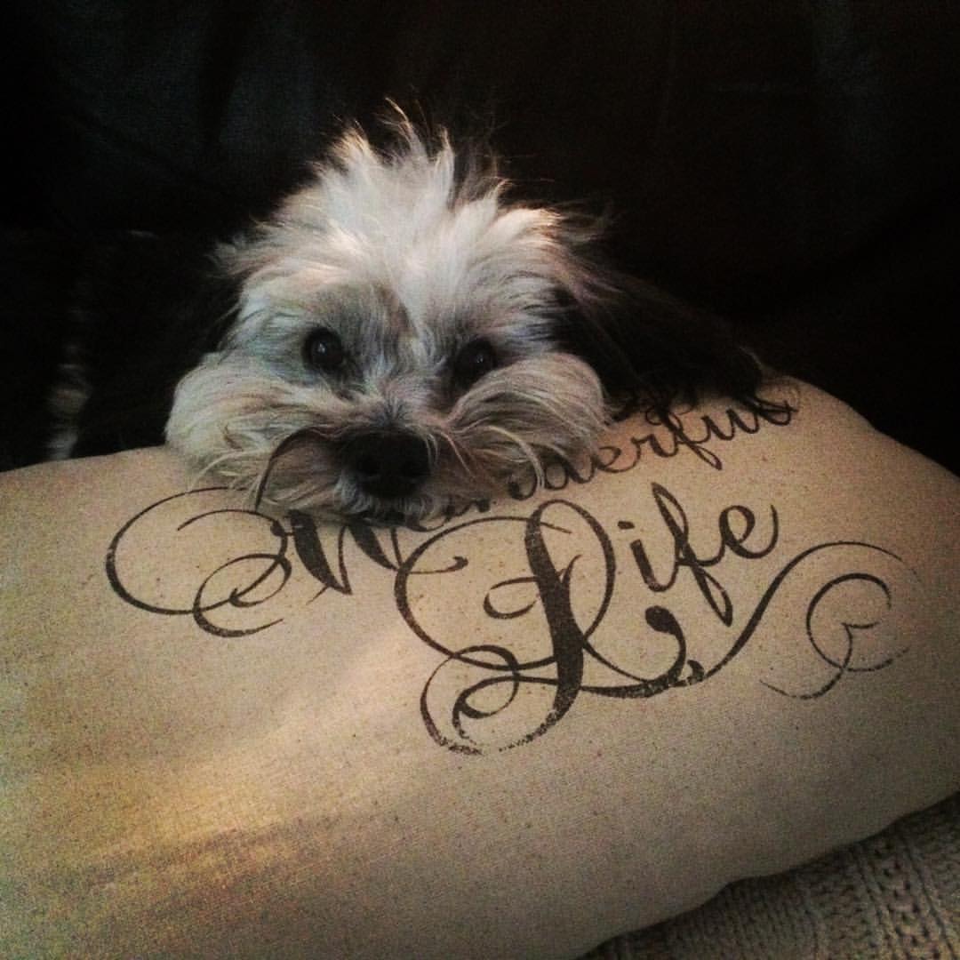 Thanks Julie for the perfect pillow for our perfect guy!