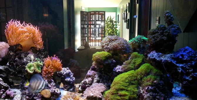 Adventures in the Flotation Tank