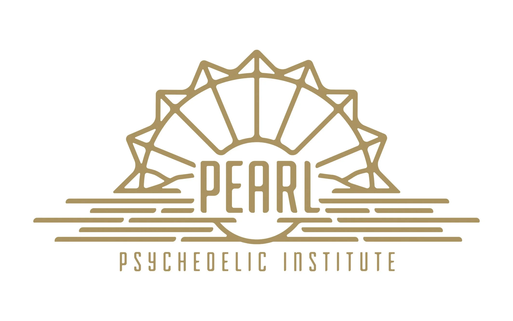Introduction to MDMA-Assisted Therapy