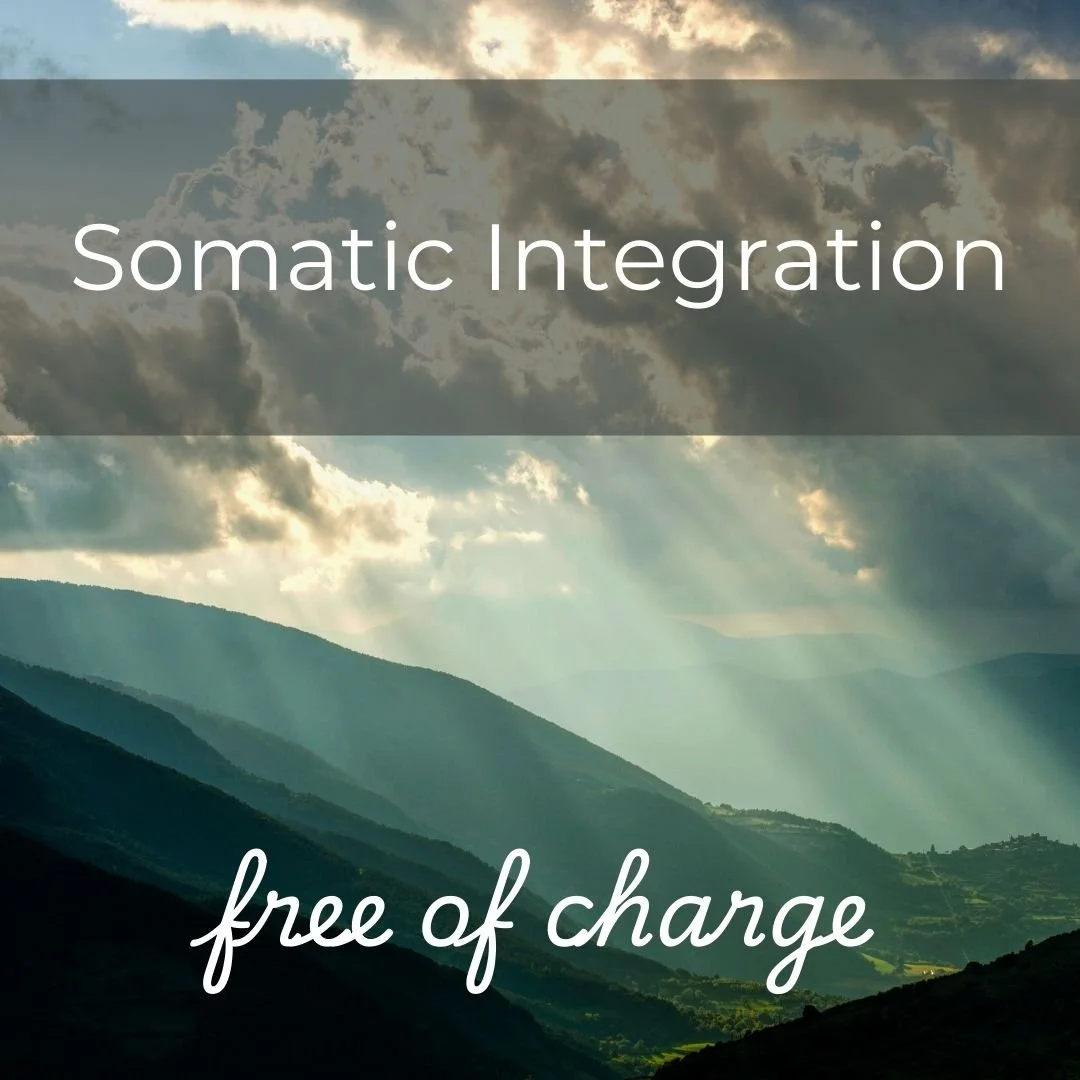 Somatic Integration: finding our way after the storm