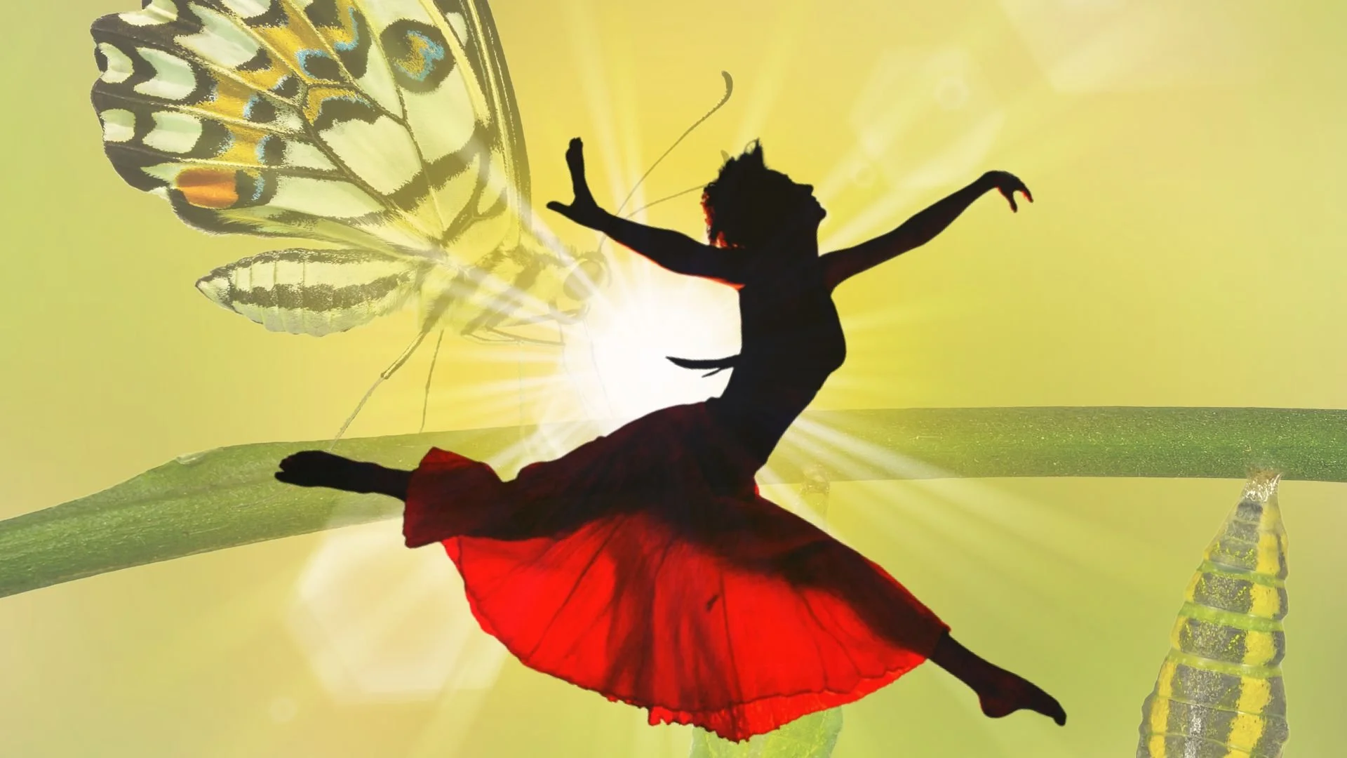 Healing the Pelvic Core Workshop for Women (36 CE)