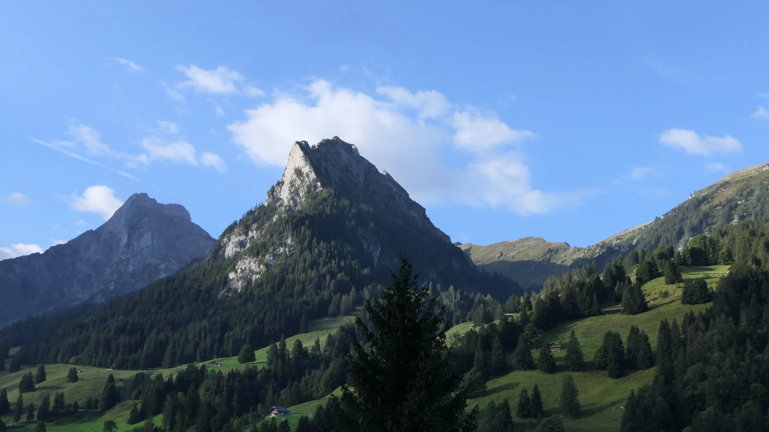 Trauma Awareness and the Nervous System in Esalen®️ Massage