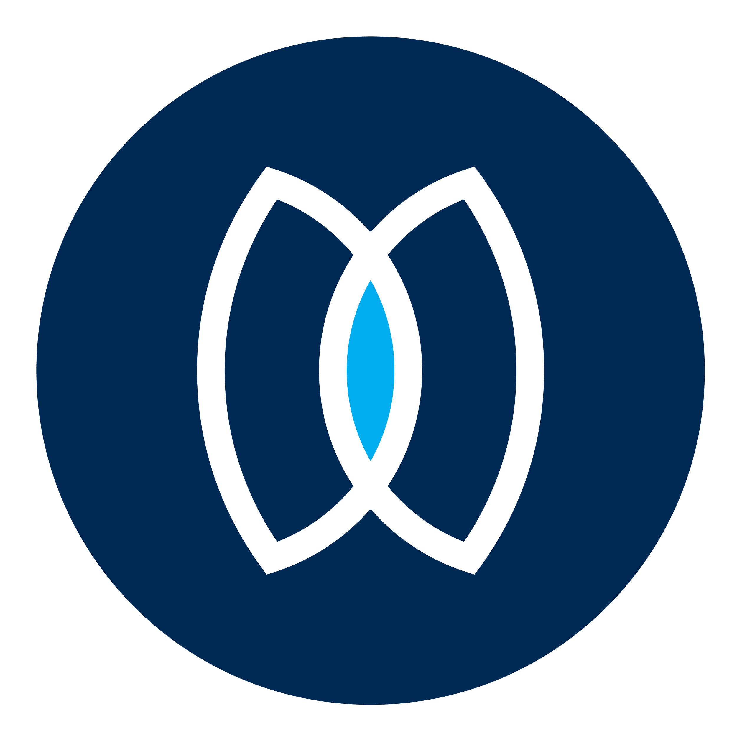 Somatic Integration (24 CE)