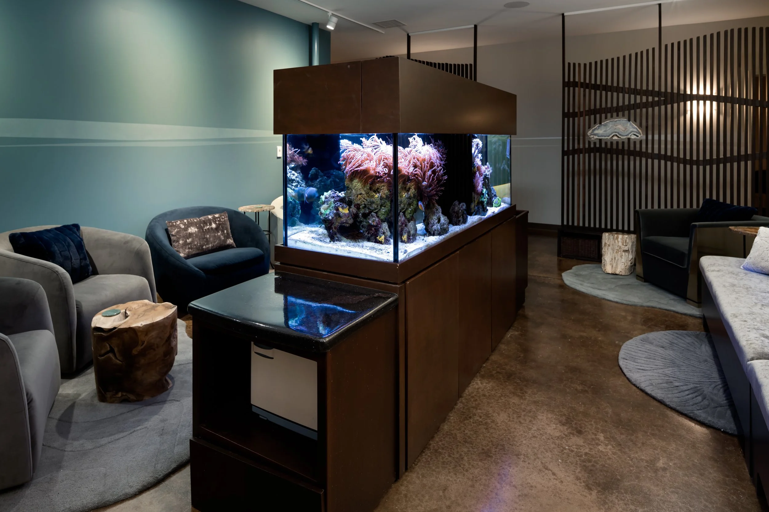 20230220-_A742723-Edit (2).jpg