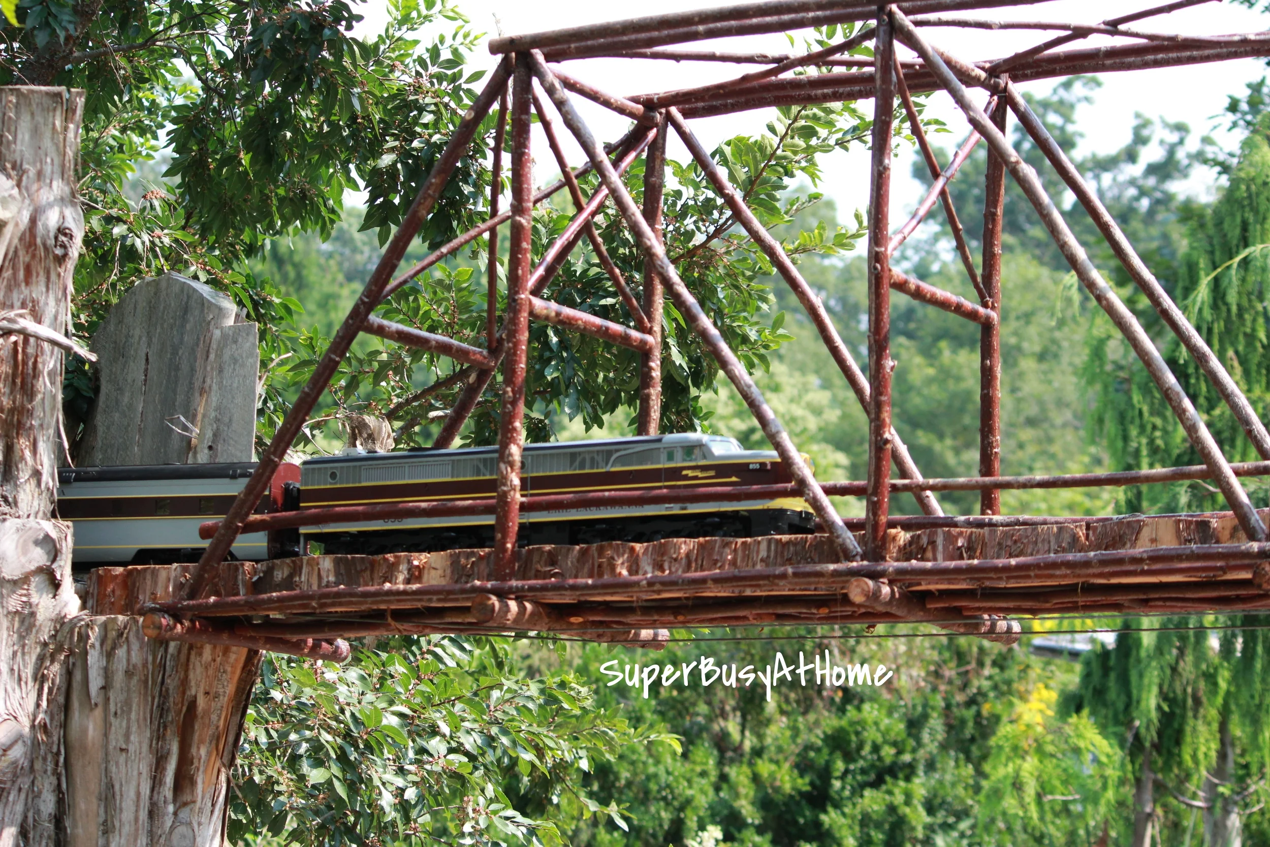 Train Fun at Fernwood