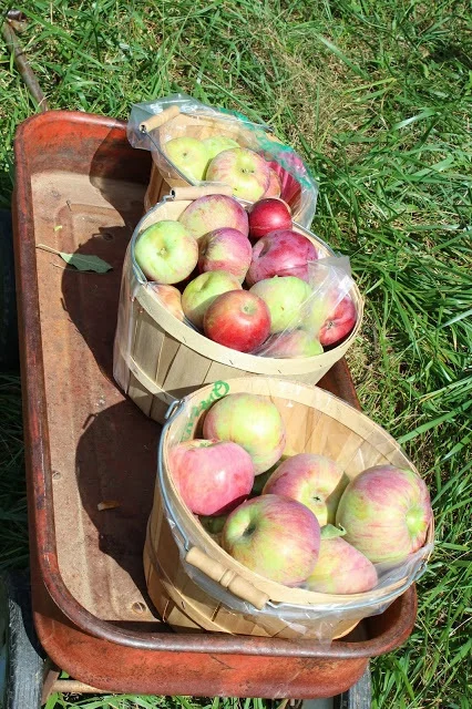 Family Fall Festival