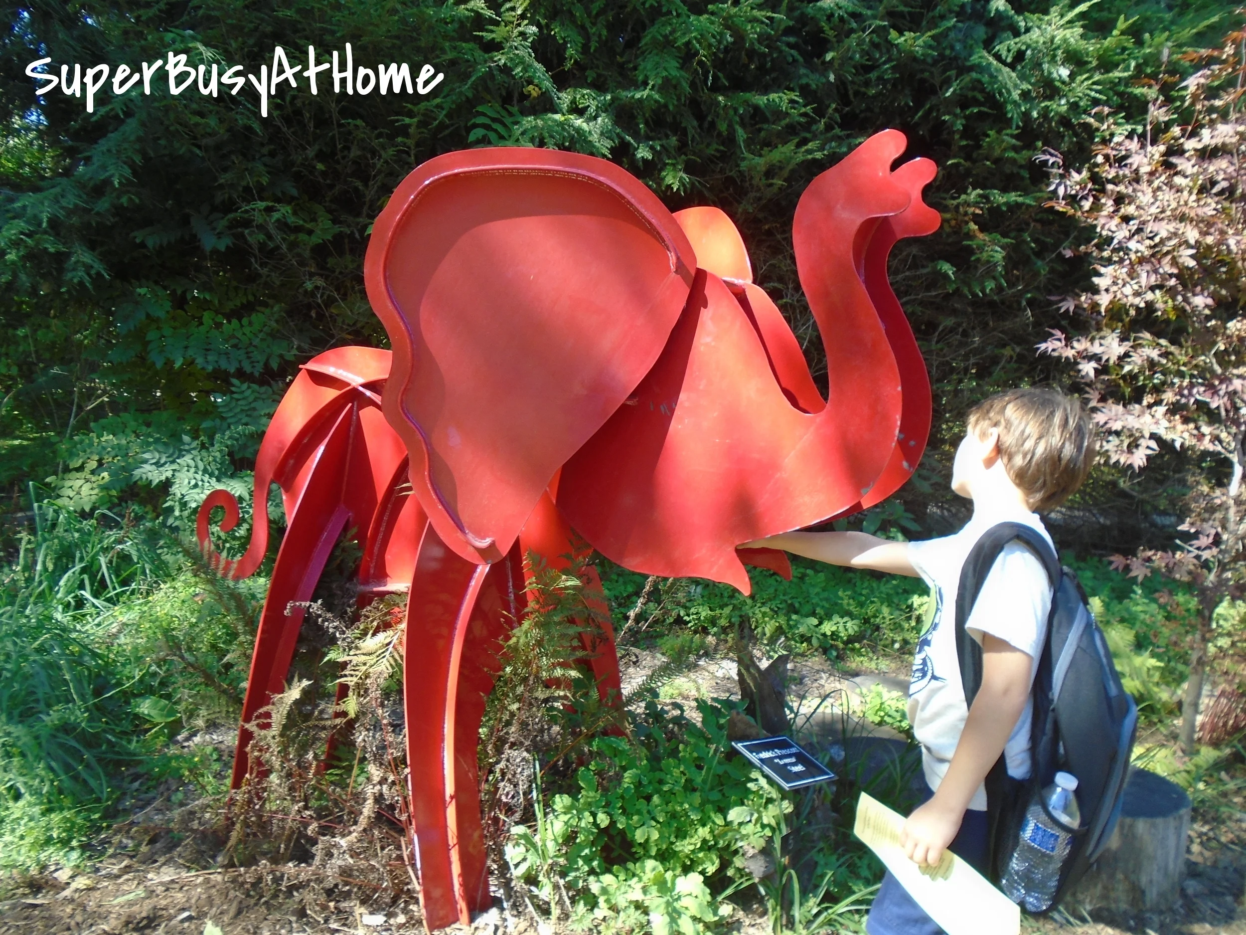 Fernwood from A Child's Viewpoint