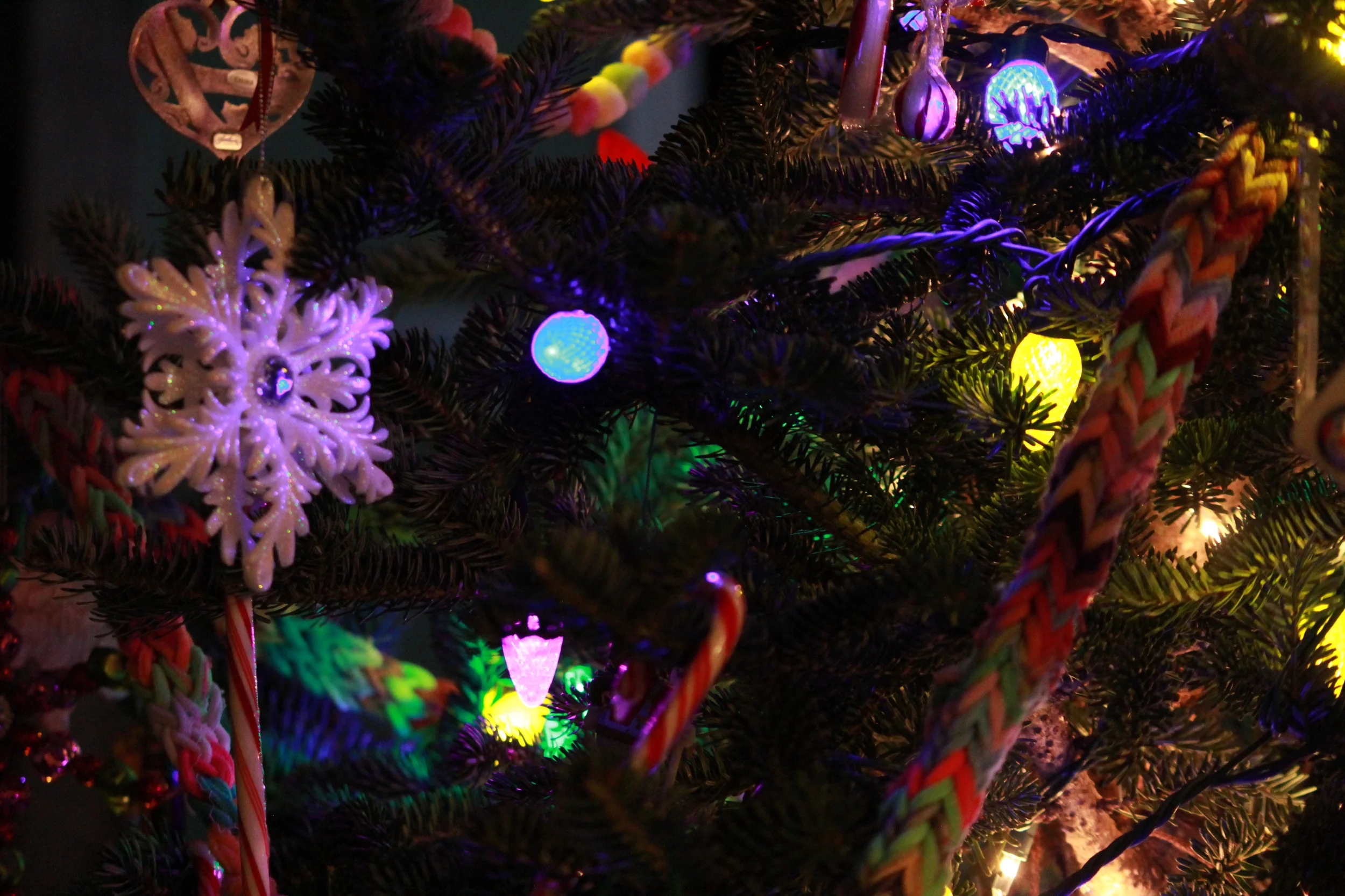 The "Fun" of Christmas with Autism