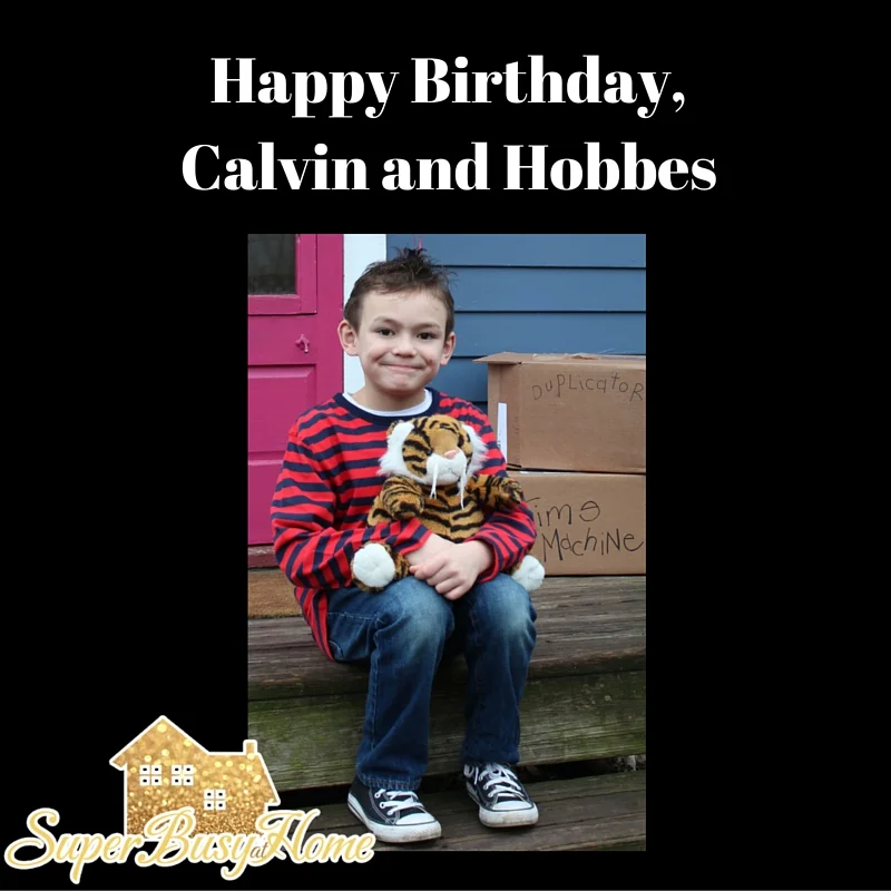 Calvin and Hobbes Birthday Party