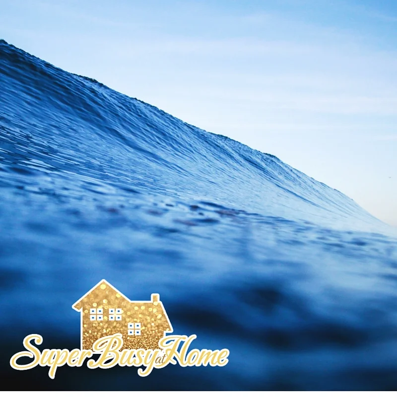 Riding the Waves of Being an Autism Mom