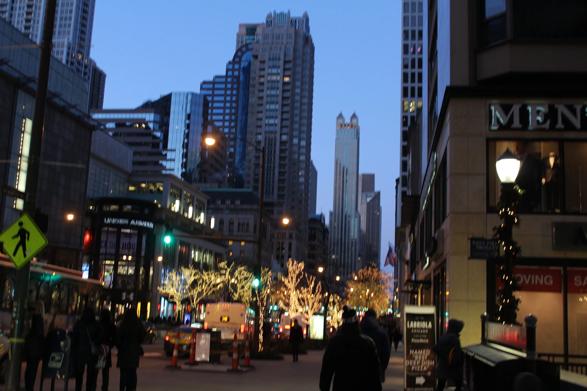 Our Chicago Birthday Trip