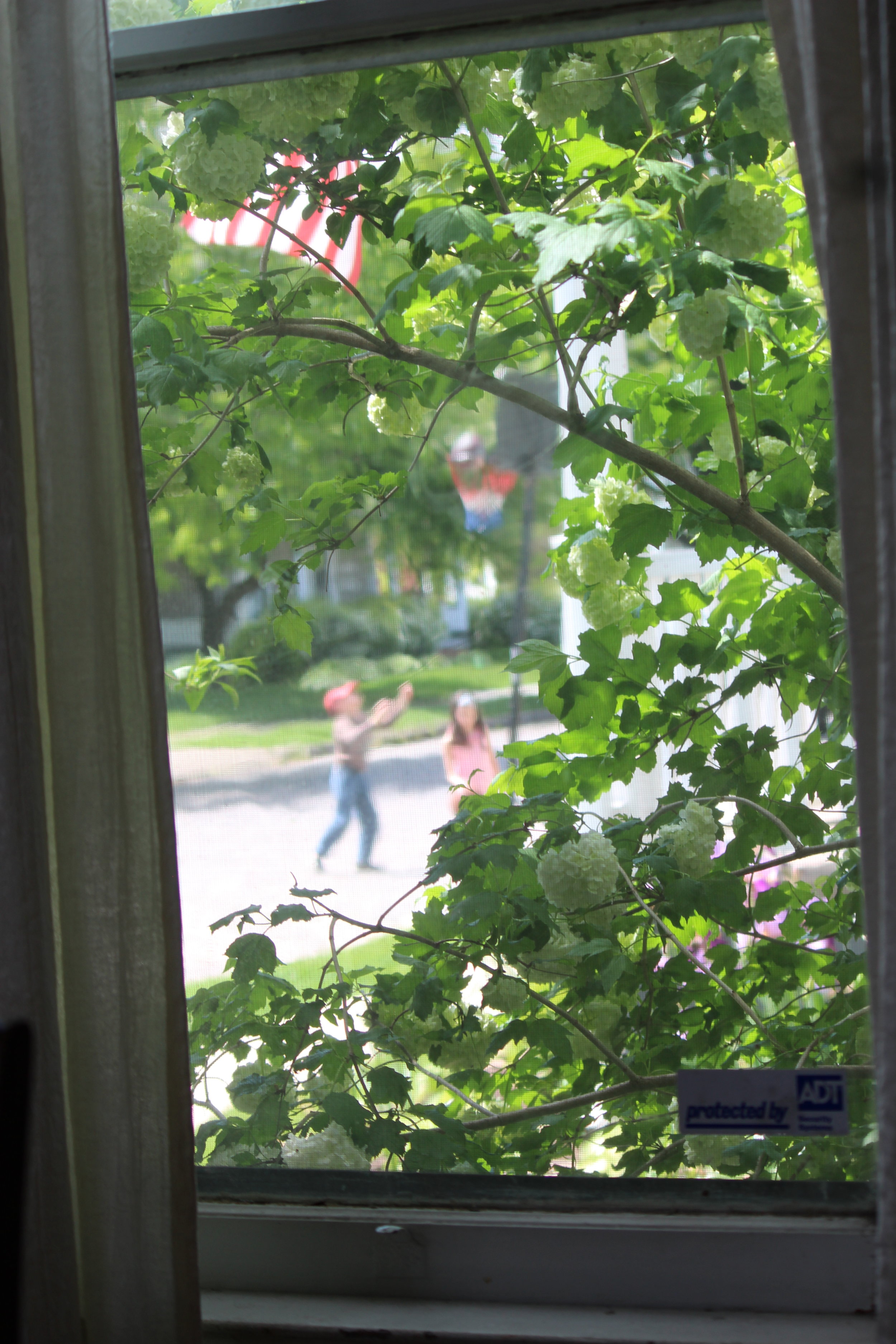 The Priceless Gift of Losing my Camera