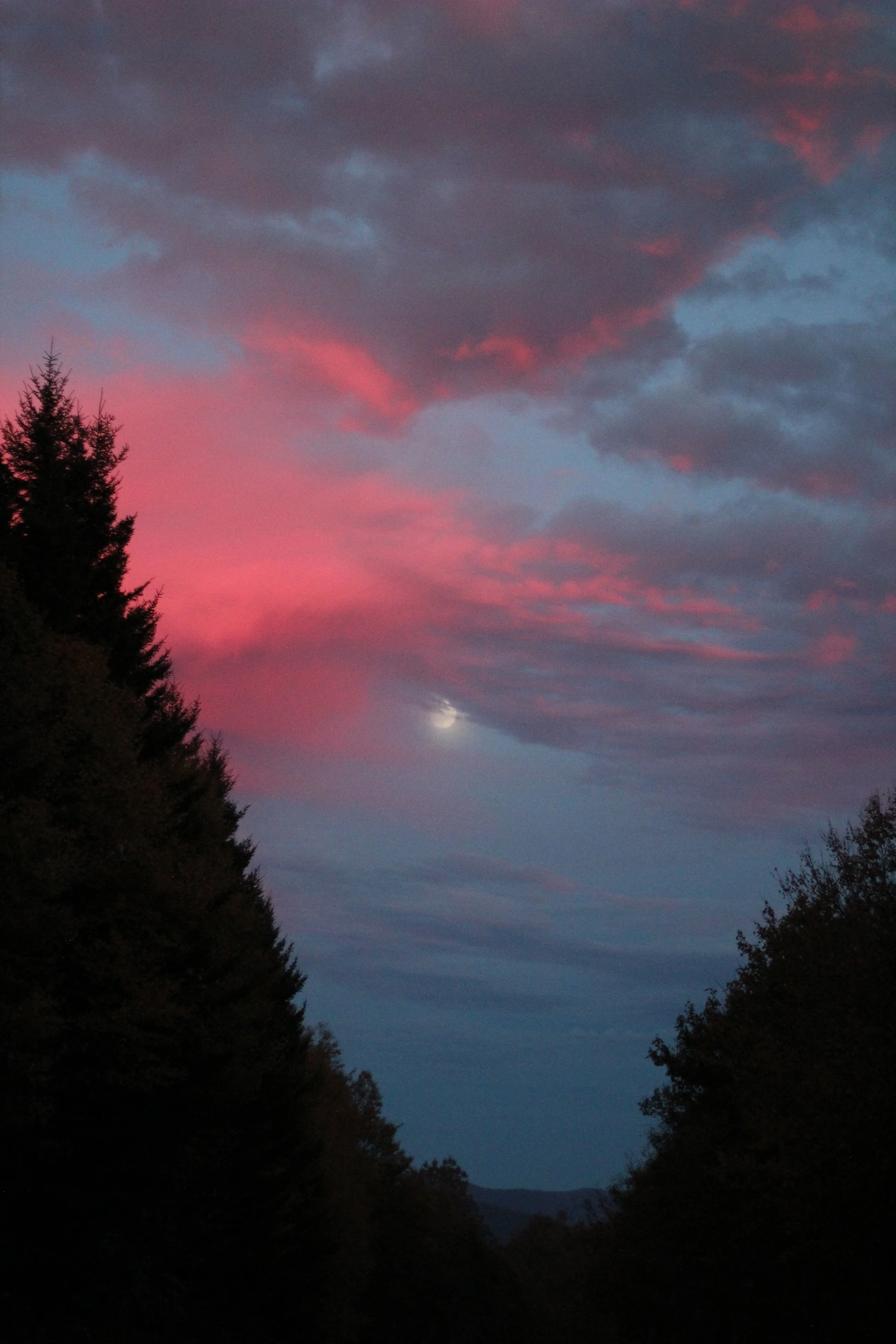 A Big Thank You for Your Prayers