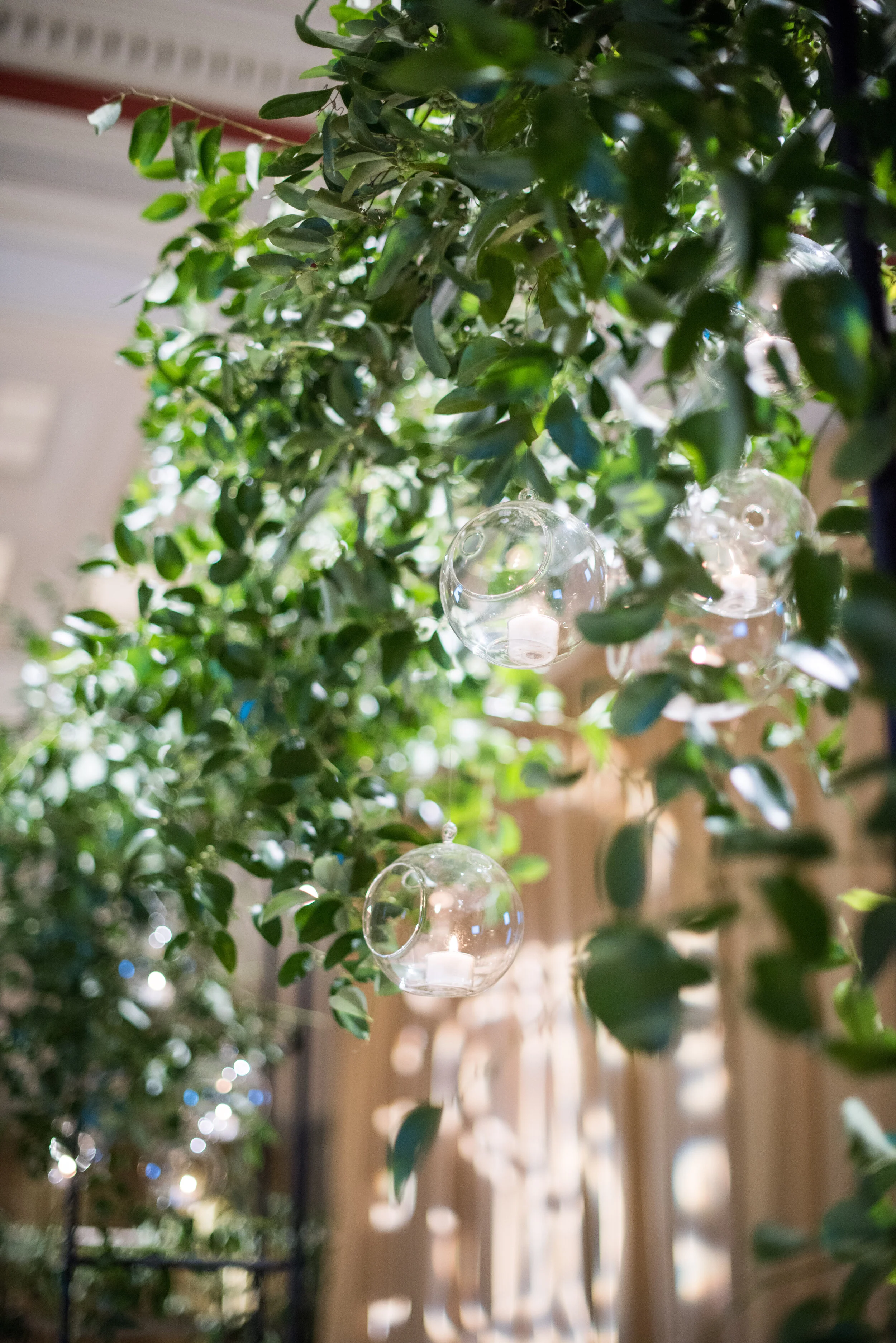 CarnegieLibrary-23 copy.jpg