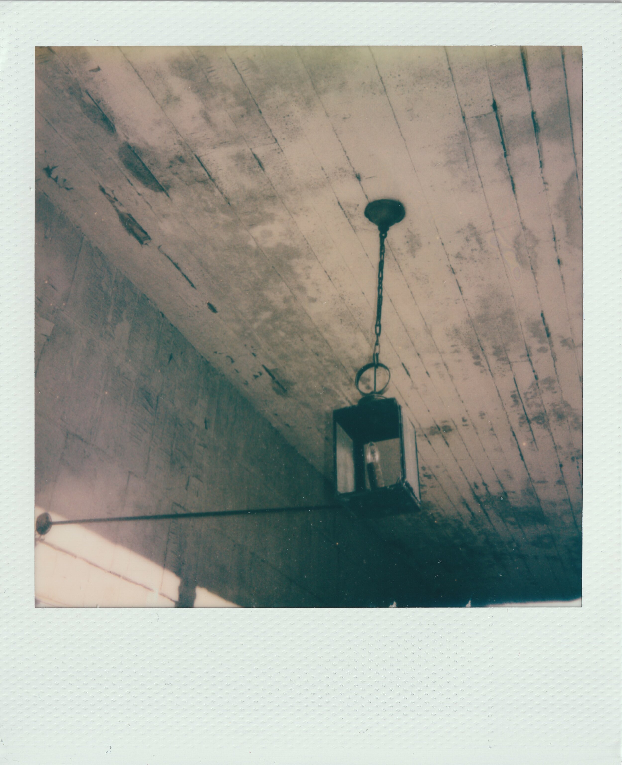 Polaroid-5.jpeg