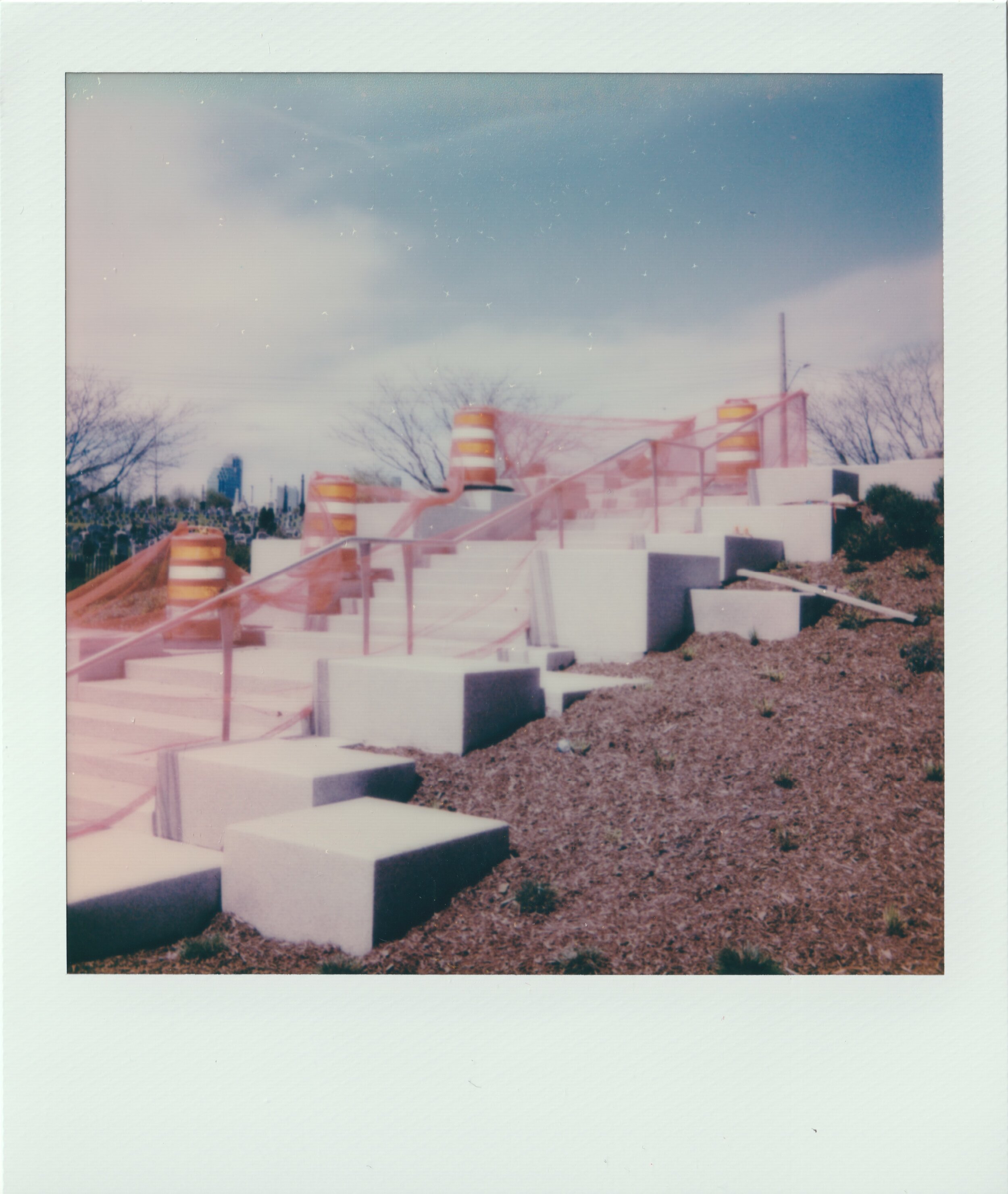 Polaroid-84.jpeg