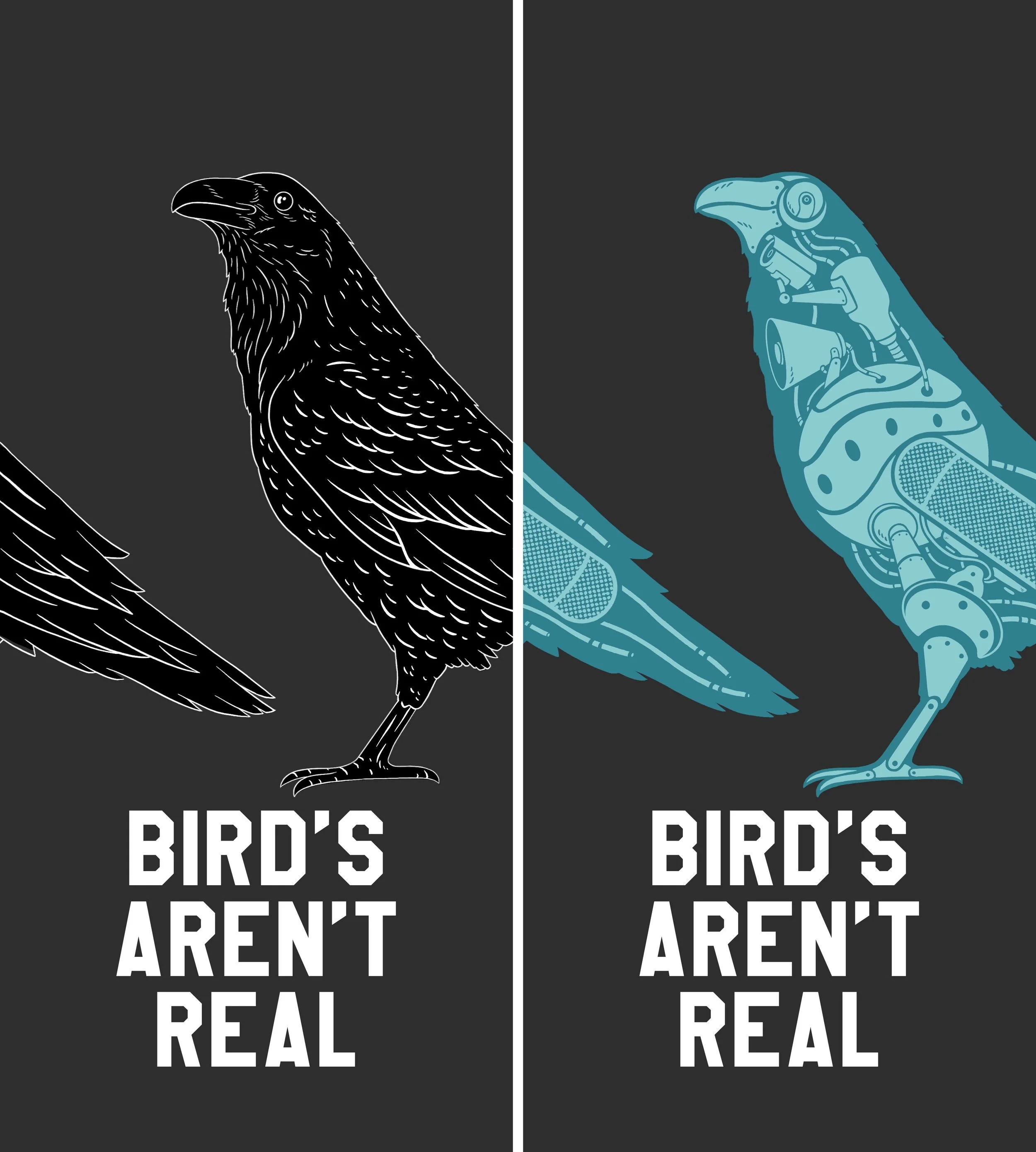 Birds_Aren't_Real.jpg