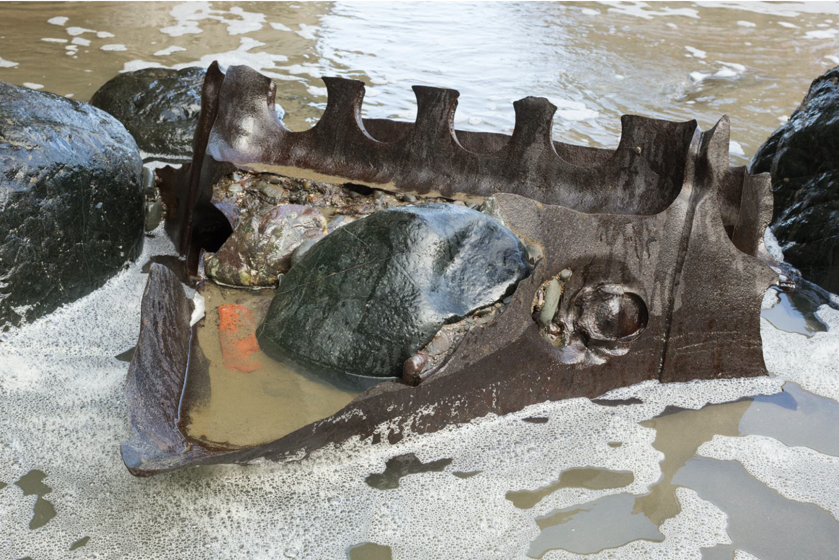 Photos: Lands End Shipwreck at Low Tide
