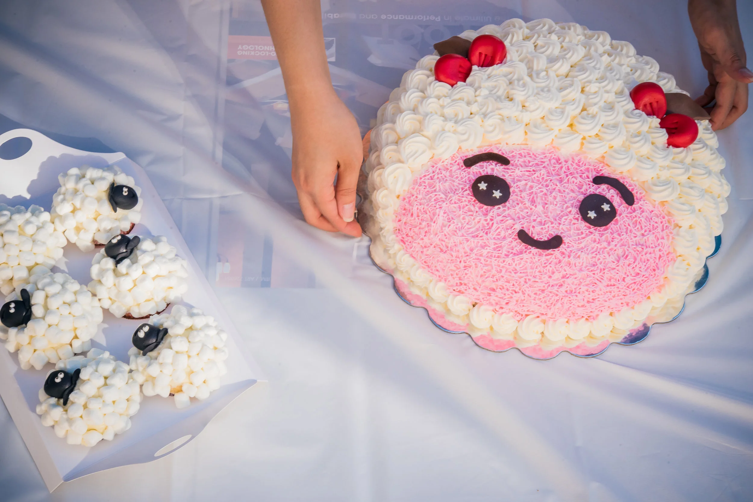 Happy 100 Days Ashlynn