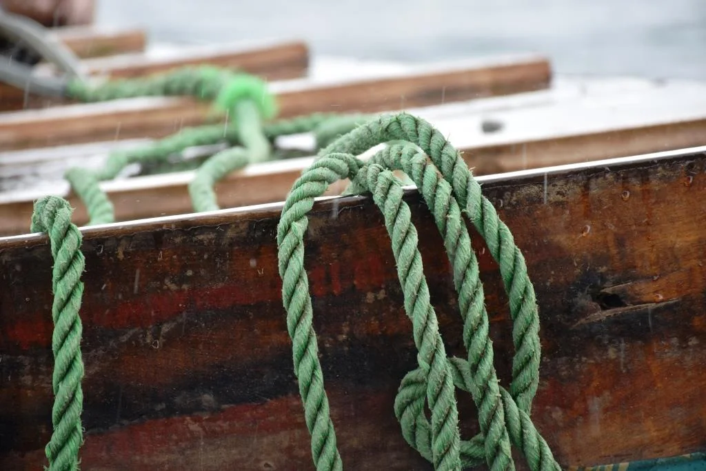 Ropes and Rain (Zanzibar)