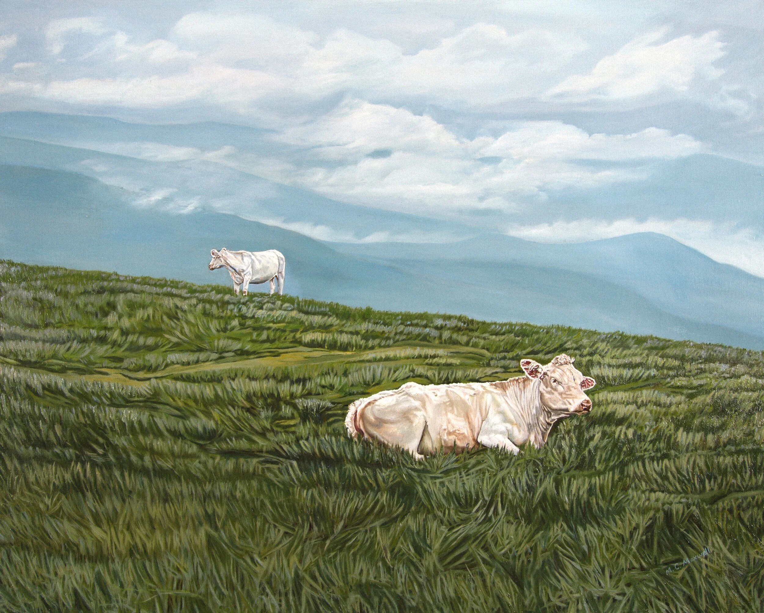 2012 - Cows on the Bald, oil on canvas.jpg
